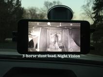 Night Vision , 3 horses view on smartphone