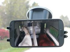 Horses in trailer, image on smartphone